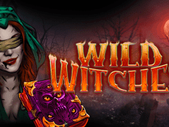 Wild Witches screenshot